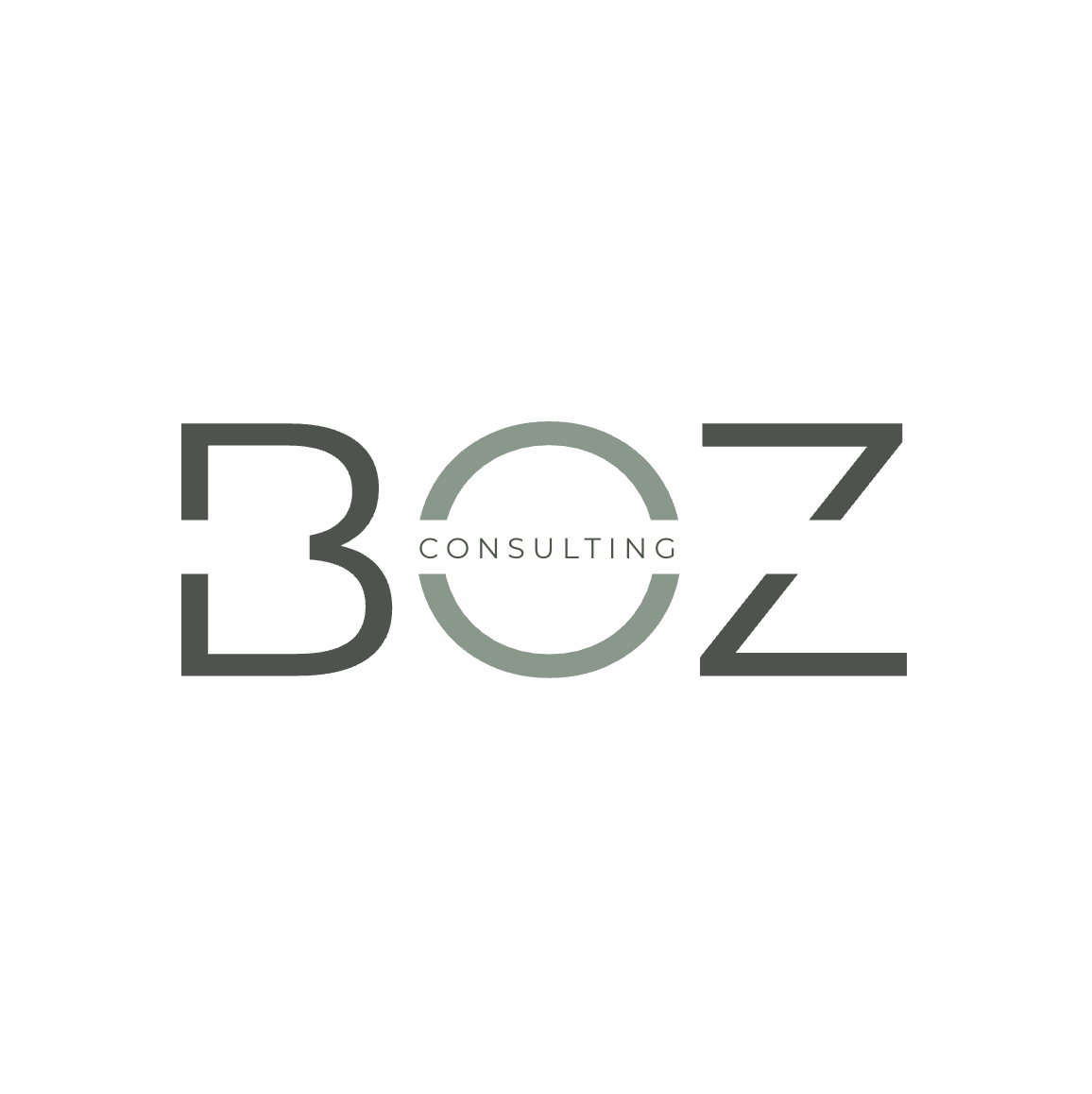 Boz Consulting logo